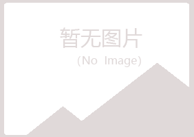 中山区迷失水泥有限公司